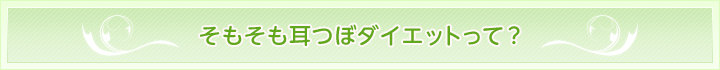 そもそも耳つぼダイエットなに？